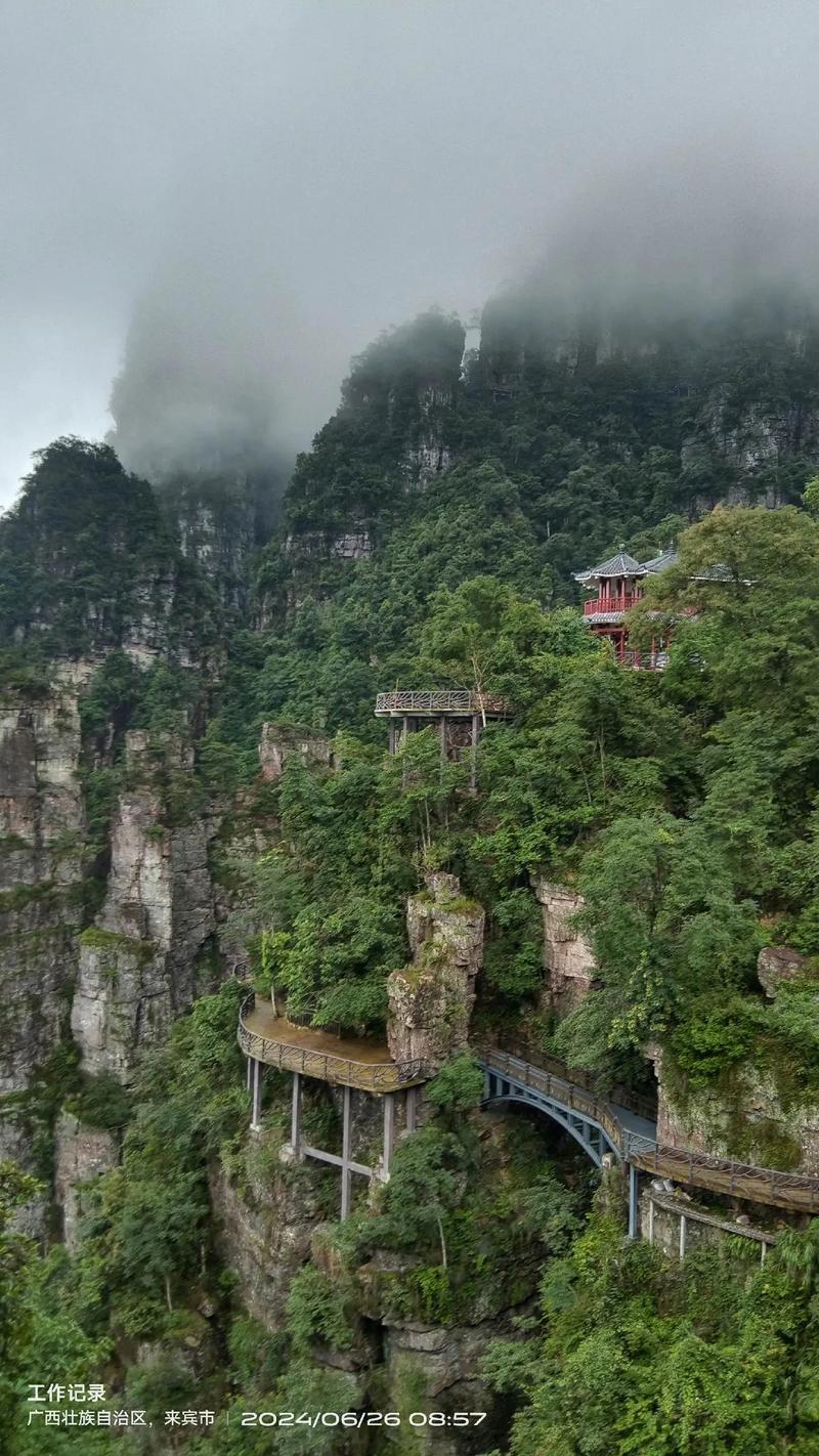 莲花山地震/莲花山地震咒语大全-第2张图片 莲花山地震/莲花山地震咒语大全-第2张图片