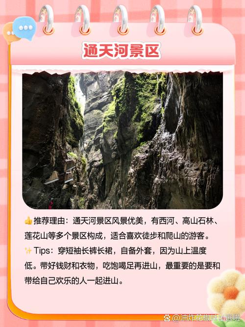 韩城限号查询，韩城限号查询系统-第1张图片