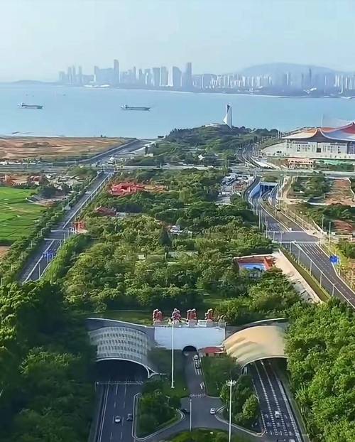 关于“厦门国庆限号路段地图”你不知道的事-第1张图片