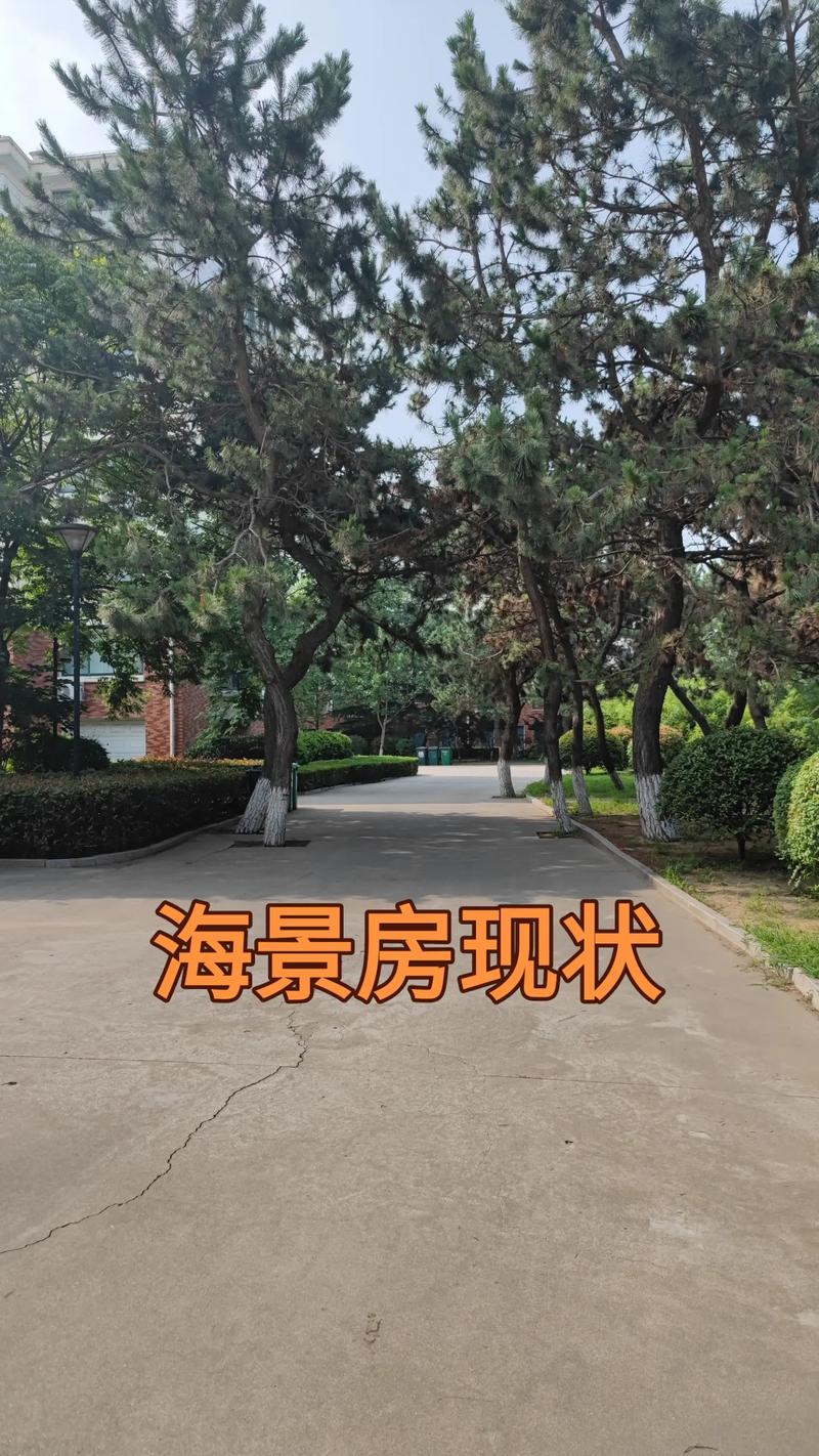 【威海地震了吗/威海地震带】-第9张图片