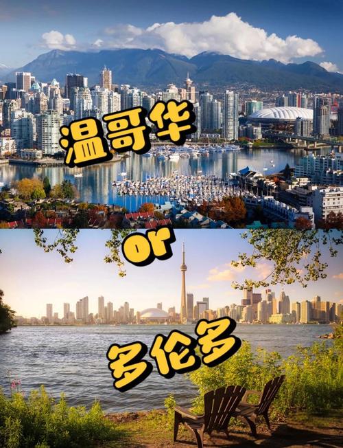 关于“多伦多地震”你不知道的事