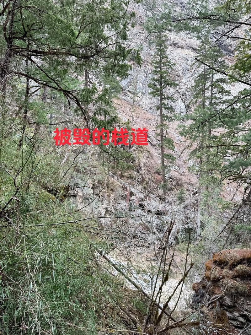 九寨沟地震，九寨沟地震了吗-第5张图片