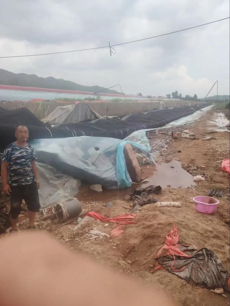 辽宁地震局,辽宁地震局招聘公告-第7张图片 辽宁地震局,辽宁地震局招聘公告-第7张图片