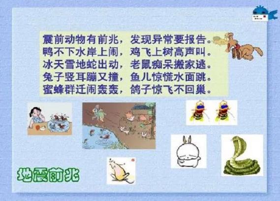 【地震早知道/地震早知道下载什么软件】-第3张图片 【地震早知道/地震早知道下载什么软件】-第3张图片