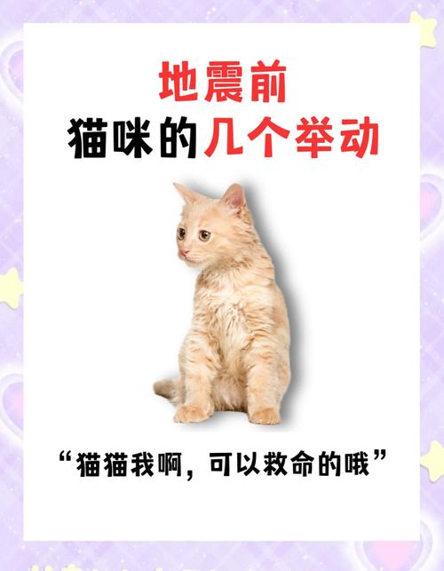 猫预感地震，猫在地震前有什么预兆
