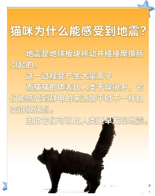 猫预感地震，猫在地震前有什么预兆-第5张图片