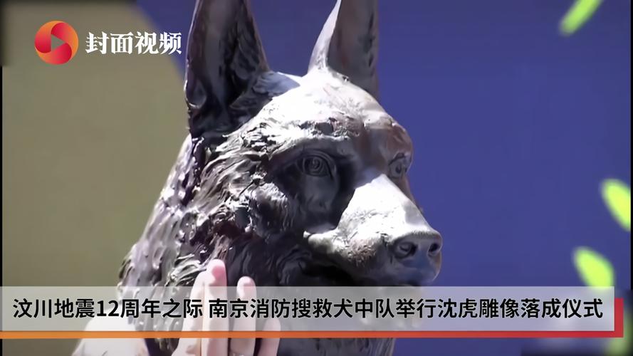 汶川大地震搜救犬-汶川地震67只搜救犬全部离世-第7张图片 汶川大地震搜救犬-汶川地震67只搜救犬全部离世-第7张图片