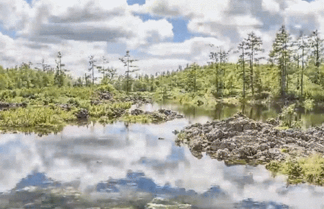 阿尔山地震,阿尔山地震基本烈度-第4张图片 阿尔山地震,阿尔山地震基本烈度-第4张图片