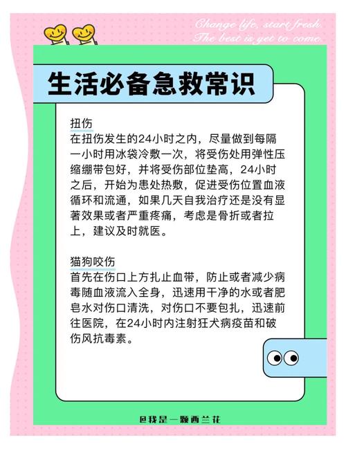 关于“地震的现场急救原则包括”你不知道的事-第5张图片 关于“地震的现场急救原则包括”你不知道的事-第5张图片