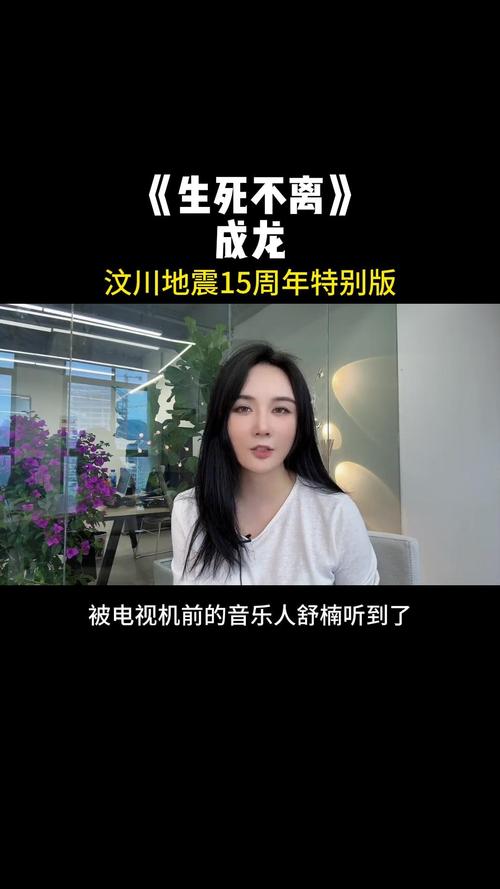 【纪念汶川大地震/纪念汶川大地震的电影】-第2张图片 【纪念汶川大地震/纪念汶川大地震的电影】-第2张图片
