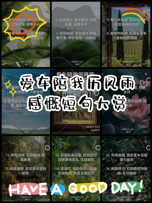 白洋淀限号吗2017-白洋淀限行通知-第7张图片 白洋淀限号吗2017-白洋淀限行通知-第7张图片