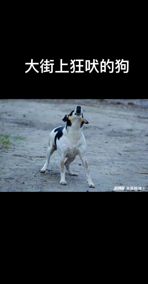 关于唐山大地震诡异的信息-第5张图片 关于唐山大地震诡异的信息-第5张图片