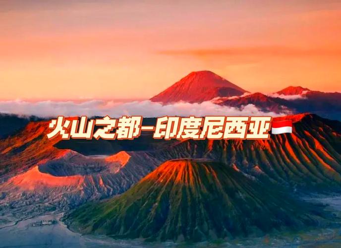 印度地震多吗/印度地震伤亡人数-第2张图片
