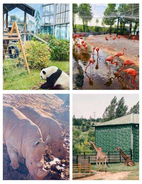 【榆林市五一出行安全吗/榆林五一旅游】-第4张图片 【榆林市五一出行安全吗/榆林五一旅游】-第4张图片