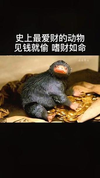 【有什么动物是夜里出行的/哪些动物夜里出来觅食】-第4张图片 【有什么动物是夜里出行的/哪些动物夜里出来觅食】-第4张图片