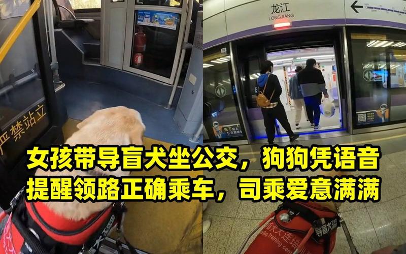 盲人出行设计说明怎么写,盲人出行方式调查-第4张图片 盲人出行设计说明怎么写,盲人出行方式调查-第4张图片