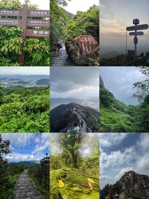 东莞清明节可以出行吗吗,东莞清明节预约-第4张图片 东莞清明节可以出行吗吗,东莞清明节预约-第4张图片