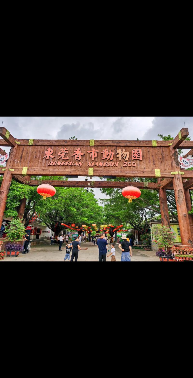 东莞清明节可以出行吗吗,东莞清明节预约-第8张图片 东莞清明节可以出行吗吗,东莞清明节预约-第8张图片