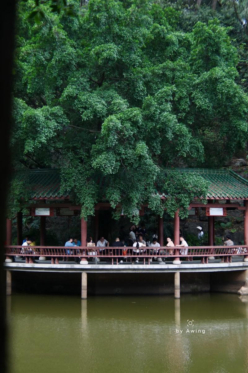 东莞清明节可以出行吗吗,东莞清明节预约-第9张图片 东莞清明节可以出行吗吗,东莞清明节预约-第9张图片