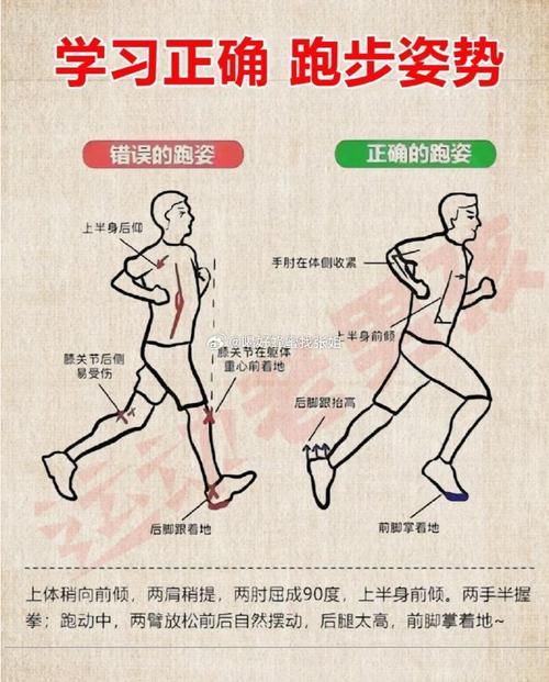 马拉松出行前吃什么-马拉松之前要吃什么-第7张图片 马拉松出行前吃什么-马拉松之前要吃什么-第7张图片