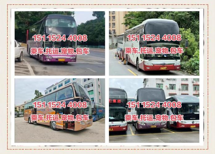 关于“新罗区可以出行了吗”你不知道的事-第4张图片