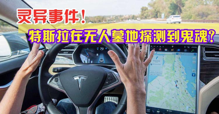 特斯拉怎么感应出行人-特斯拉感应有车经过-第7张图片 特斯拉怎么感应出行人-特斯拉感应有车经过-第7张图片
