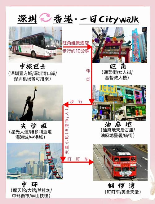 关于“深圳自驾车可以出行吗吗”你不知道的事-第5张图片