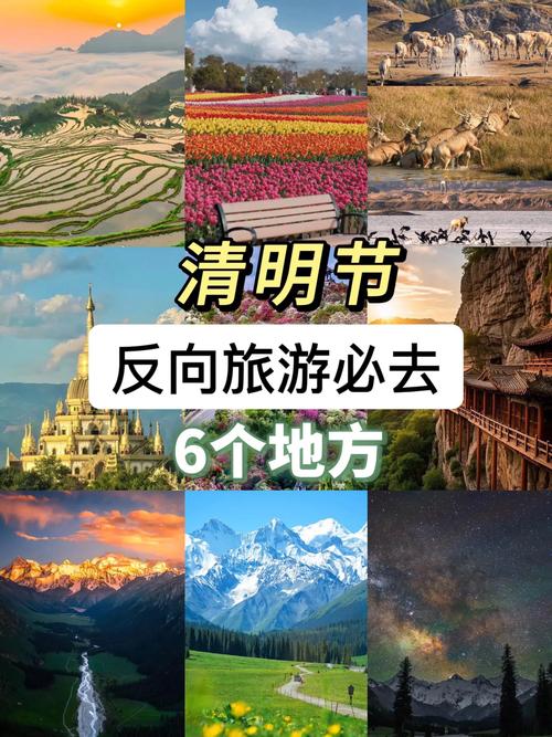 清明节浙江省内能出行吗，2021浙江清明出行政策-第7张图片