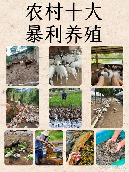 【大雁出行怎么赚钱/大雁出行app】-第7张图片 【大雁出行怎么赚钱/大雁出行app】-第7张图片