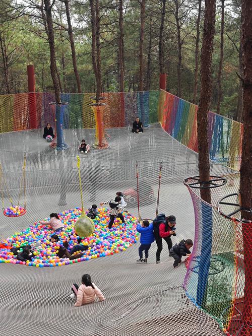 小鱼出行可以带小孩吗,小鱼出行要戴头盔吗-第5张图片 小鱼出行可以带小孩吗,小鱼出行要戴头盔吗-第5张图片