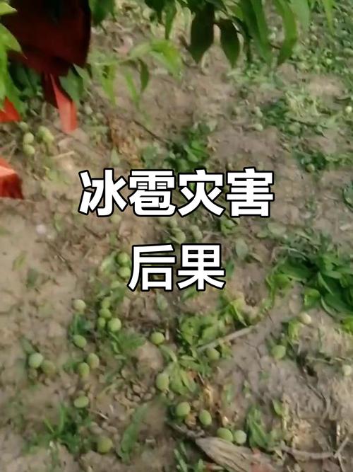 乳山到牟平能正常出行吗/牟平到乳山车票多少钱-第5张图片 乳山到牟平能正常出行吗/牟平到乳山车票多少钱-第5张图片