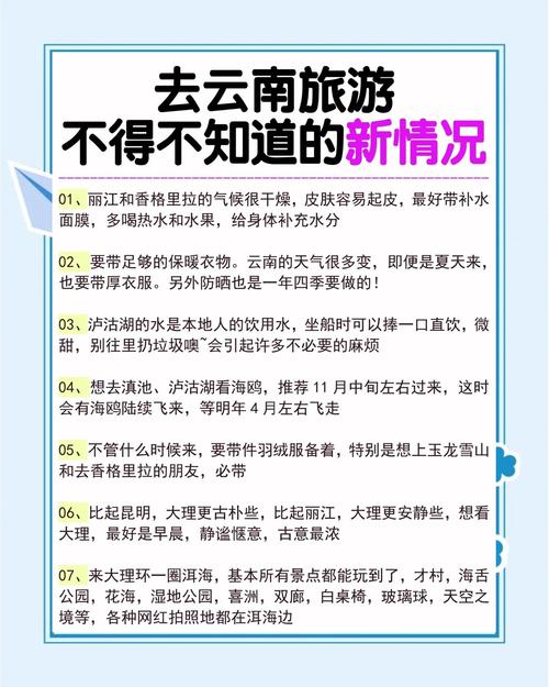 带小车出行注意事项有哪些-小车出行需要带什么证件-第8张图片
