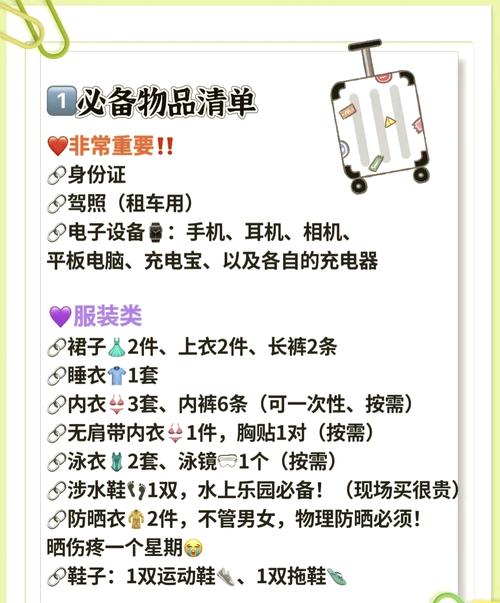 假期出行必需品有哪些-假期出行必需品有哪些英文-第3张图片