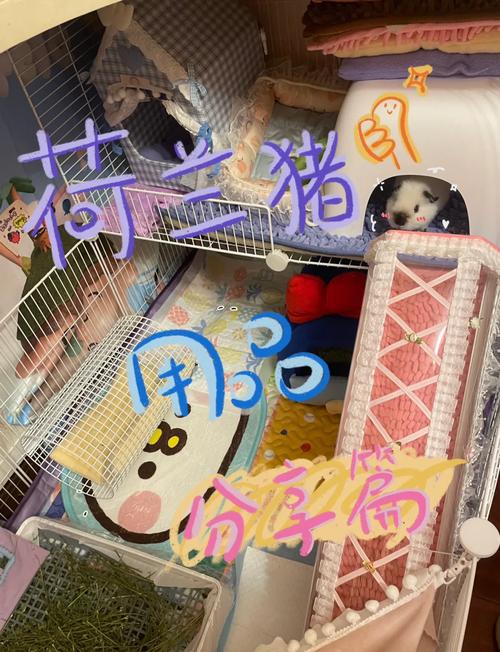 关于“冬天出行用什么装荷兰猪”你不知道的事-第9张图片