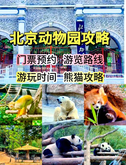 市民出行需要带雨具吗-出门要带雨伞吗-第3张图片 市民出行需要带雨具吗-出门要带雨伞吗-第3张图片