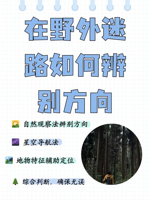 路痴的人怎么出行/路痴的人怎么办-第8张图片 路痴的人怎么出行/路痴的人怎么办-第8张图片