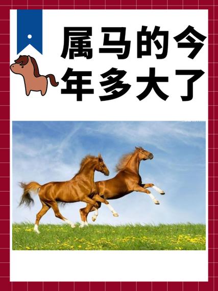 什么是台司出行吉日/台司是什么意思-第2张图片 什么是台司出行吉日/台司是什么意思-第2张图片