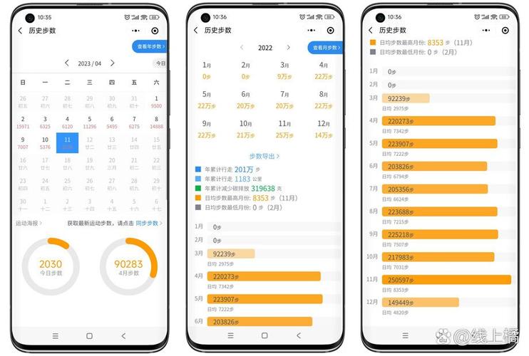 哪里看到每天出行步数统计-查看每天步数的是什么软件