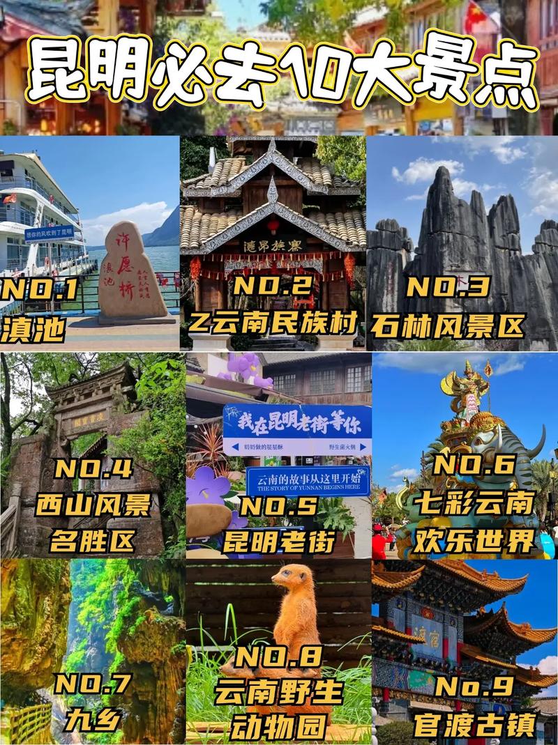 关于“昆明人全家出行怎么样”你不知道的事-第7张图片