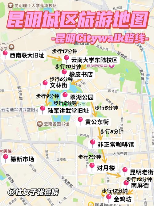 昆明哪里有绿色出行服务，昆明哪里有绿色出行服务的-第4张图片