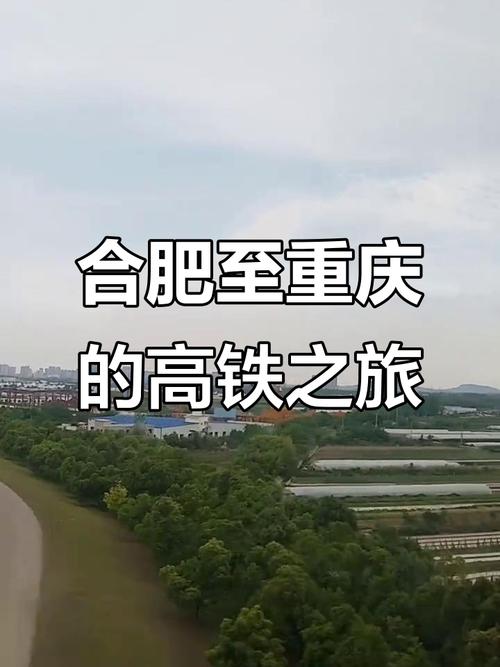 关于“超帅的出行工具是什么”你不知道的事-第3张图片 关于“超帅的出行工具是什么”你不知道的事-第3张图片