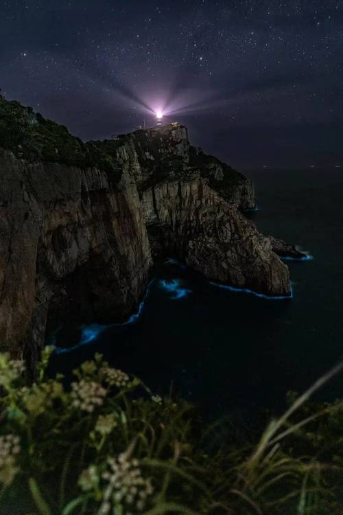 海岛出行怎么开通，海岛的行程-第3张图片