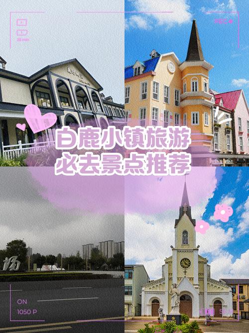 深圳白鹿出行安全吗-深圳白鹿出行安全吗可靠吗-第2张图片 深圳白鹿出行安全吗-深圳白鹿出行安全吗可靠吗-第2张图片