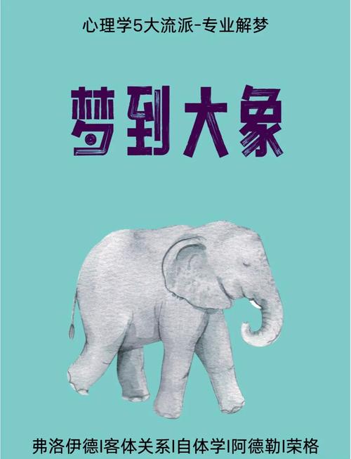小象出行怎么加速-小象出行app