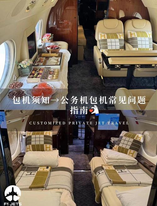 什么级别的官员出行有专机,什么级别的官员可以有司机-第9张图片 什么级别的官员出行有专机,什么级别的官员可以有司机-第9张图片