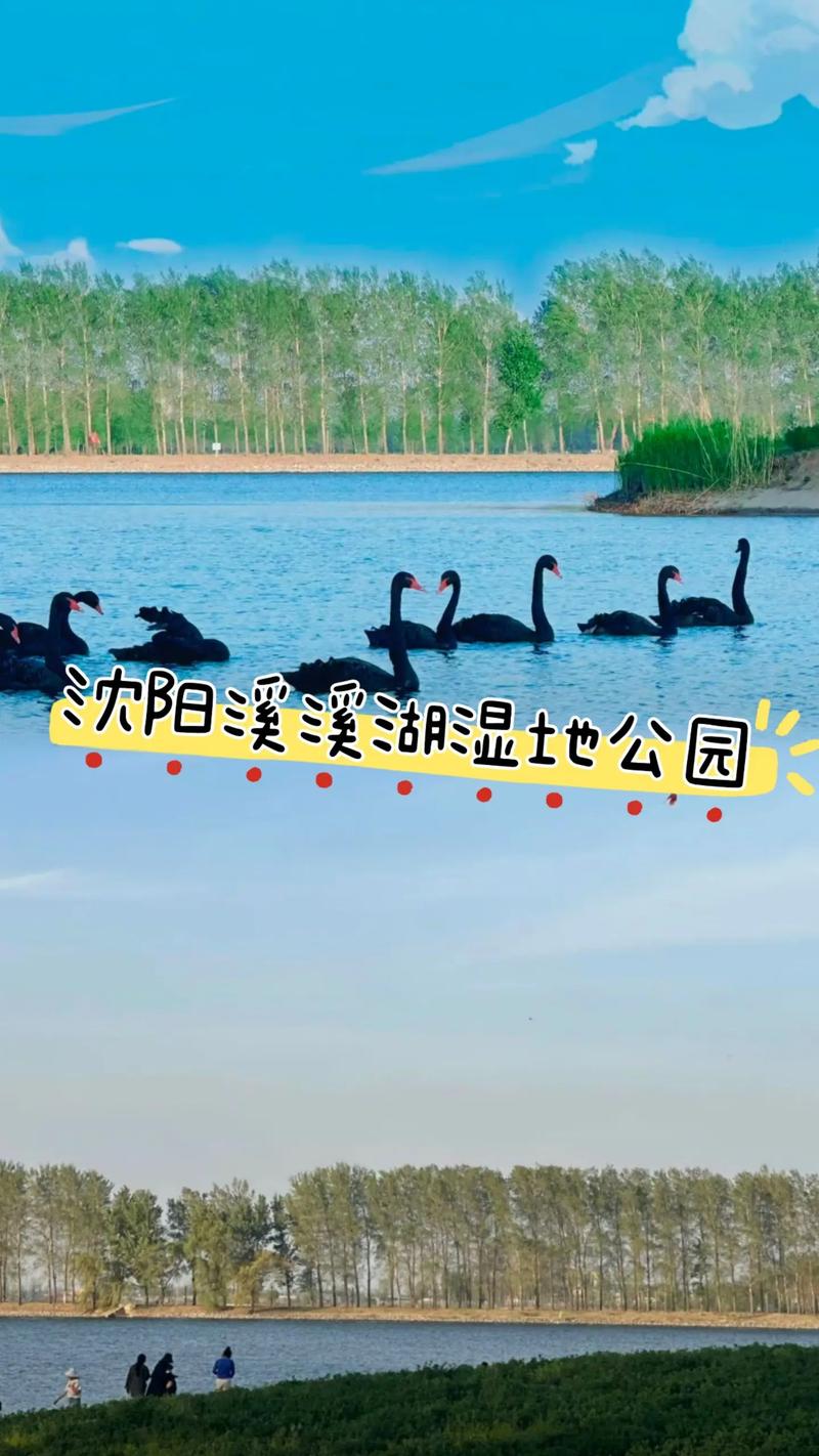 【新民胡台镇可以出行吗/新民胡台镇可以出行吗今天】-第7张图片 【新民胡台镇可以出行吗/新民胡台镇可以出行吗今天】-第7张图片