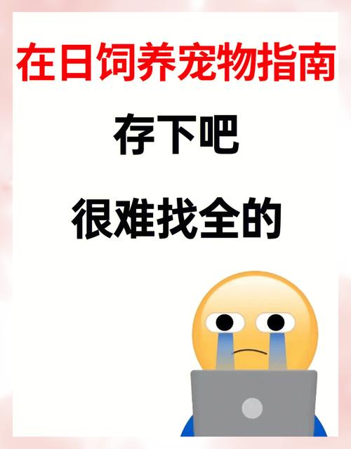 日本养猫出行需要注意什么/在日本养猫需要办手续吗-第1张图片