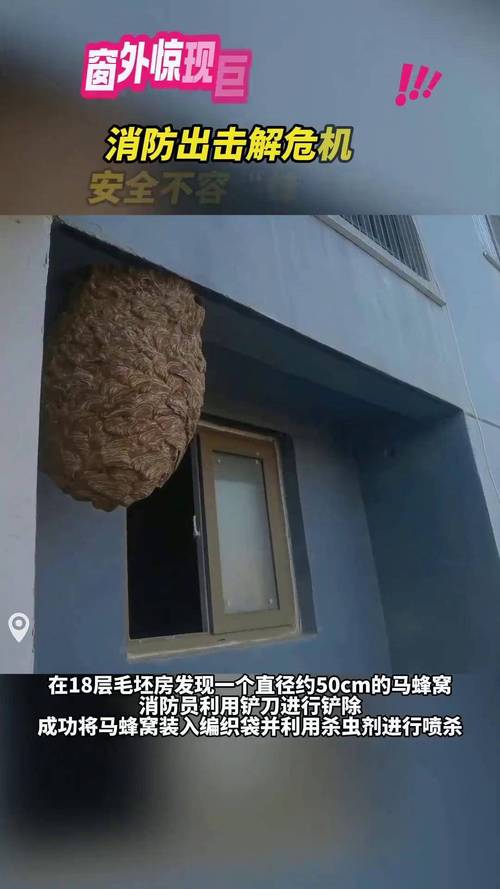 关于“蜜蜂出行怎么付款”你不知道的事-第2张图片