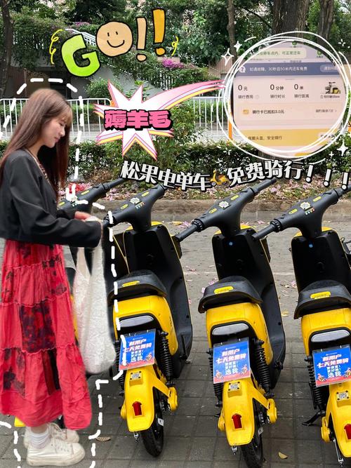 关于“松果出行没锁会自动锁吗”你不知道的事-第5张图片 关于“松果出行没锁会自动锁吗”你不知道的事-第5张图片