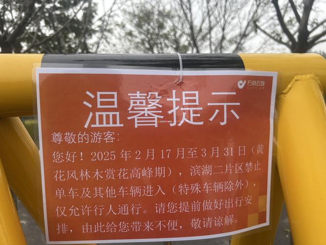 关于“松果出行没锁会自动锁吗”你不知道的事-第8张图片 关于“松果出行没锁会自动锁吗”你不知道的事-第8张图片